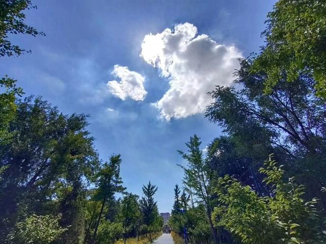 发现一个奇怪的现象：一个人改命最快的方式是练瑜伽