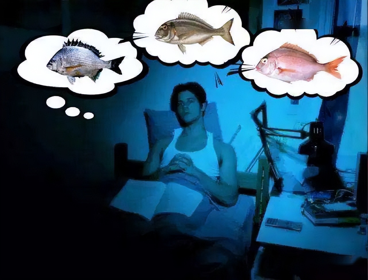 台钓的装备为何如此之多？探究钓鱼为何成为运动及装备的演变