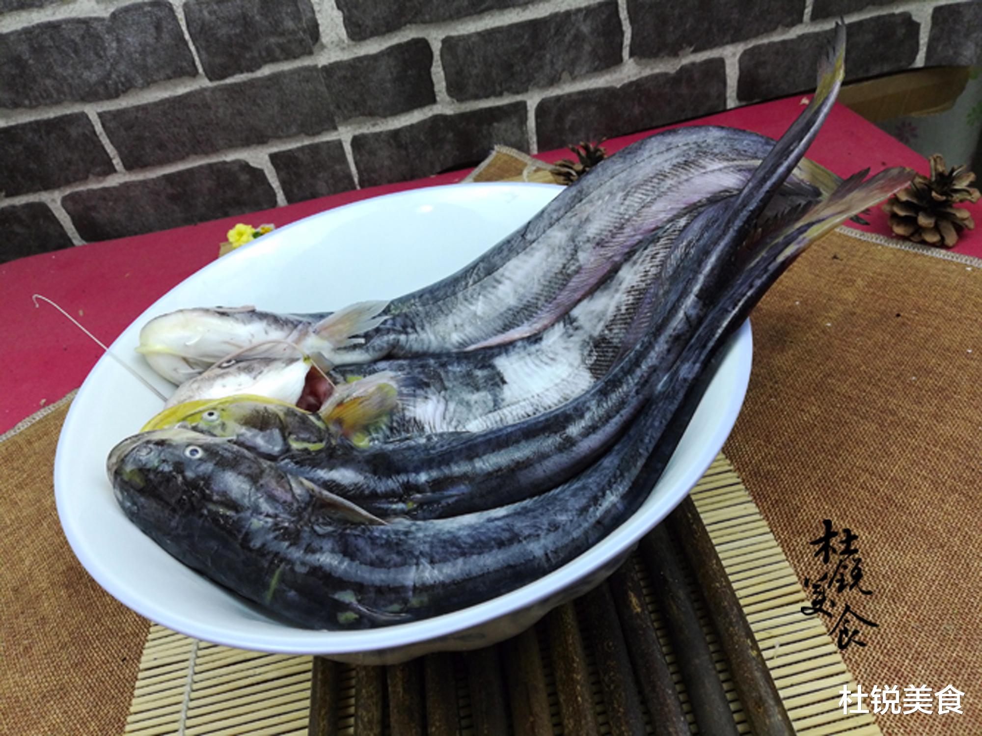 曾经受热捧的鲶鱼,为何现在吃的人越来越少了?这5点原因太现实