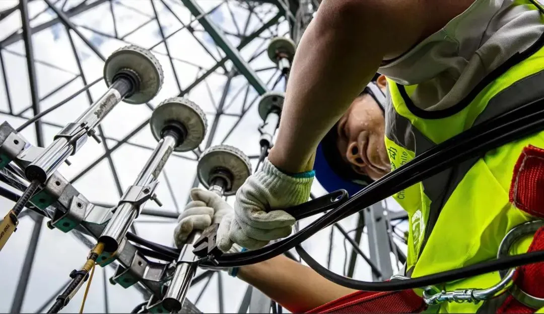 大动作!广电终于可以携号转网了?