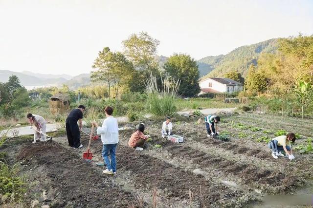 娱乐圈内部人员爆料：明星2小时访谈要价50万！节目组请不起停播