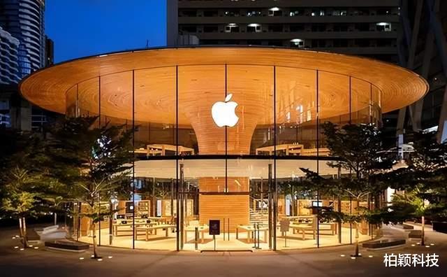 贪婪的印度财团抢到工厂,却无力组织生产,苹果很受伤