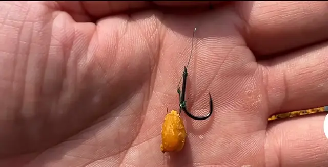 钓大鱼最歹毒的钓法！大鱼粘钩就走不掉！鱼钩的全面解析！就是狠