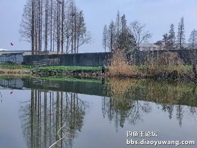 春钓浅滩，带包地狱猫就够了