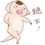 兔飞猛进体育