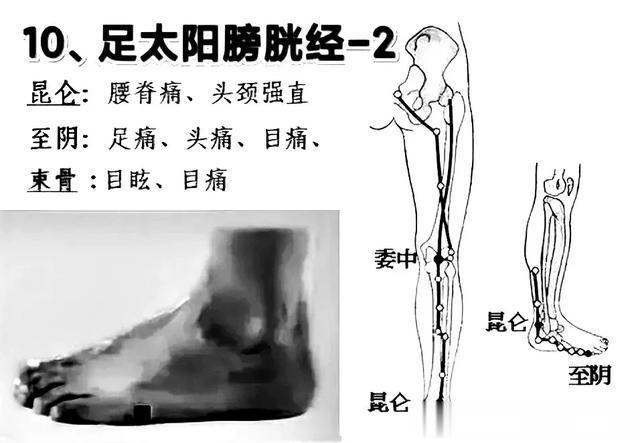 十二经络养生顺口溜，附图解