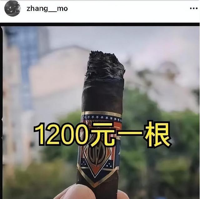 定居泰国、高调炫富,这一次再也没人能管住张默,连张国立也没辙