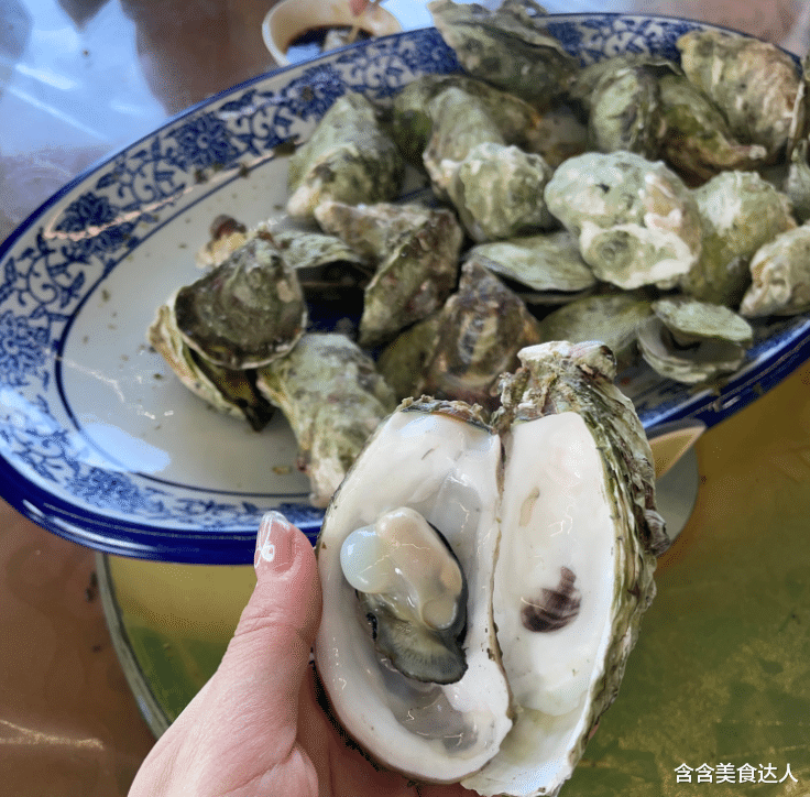 哪个地方的生蚝最好吃？这6个地方评比出来了，看你家乡上榜了没