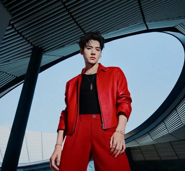 平心而论,内娱真正的绝色美男只有12位,他们酷帅雅痞,清新性感