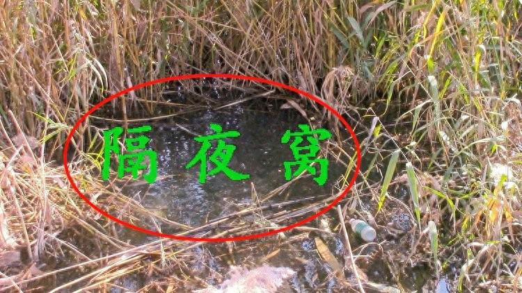 一位钓友“翻船”了,造成空手而归,原因仅是忽略了这一点!