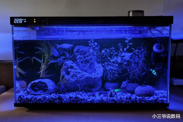 當(dāng)貝智能魚缸1 Ultra：懶人養(yǎng)魚新選擇！