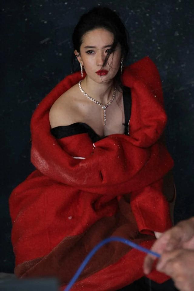 刘亦菲早期写真大片