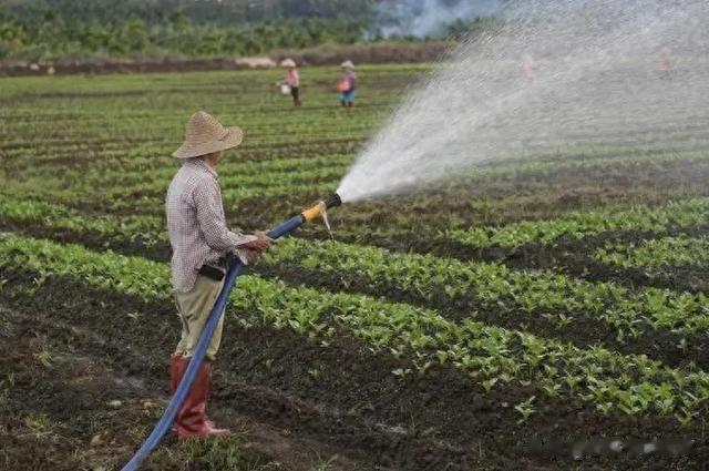 梨和桃是肠癌的“克星”？医生：不想住院，水果坚持2多吃4不吃