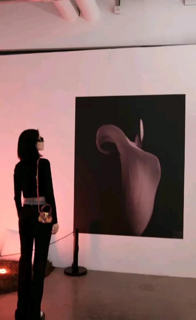 新疆维吾尔族的穆凯代斯，那种明媚大方、娇艳的美真的特别好看