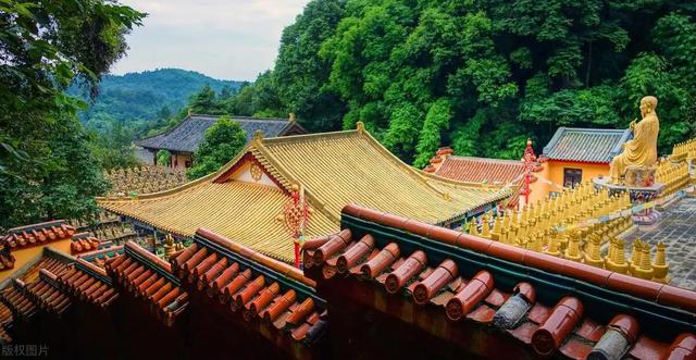 宗筋细小无力 站不起？疏肝加硬，活血助勃，补阳增坚，一方加实力