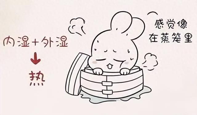 用好一药，排一身湿热，打通三焦！