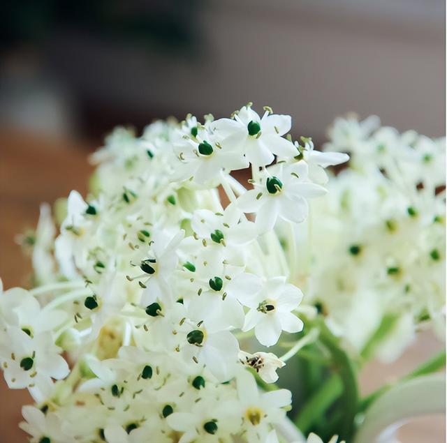 保持健身，生活化减脂，一年时间瘦30斤，我做到了这几点！