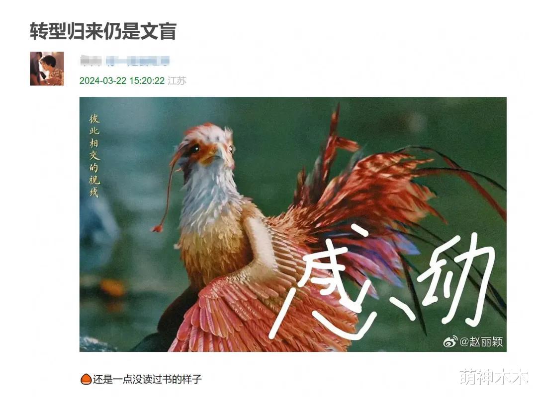 赵丽颖又被嘲文盲！接连发低级错别字，采访也支支吾吾无话可说