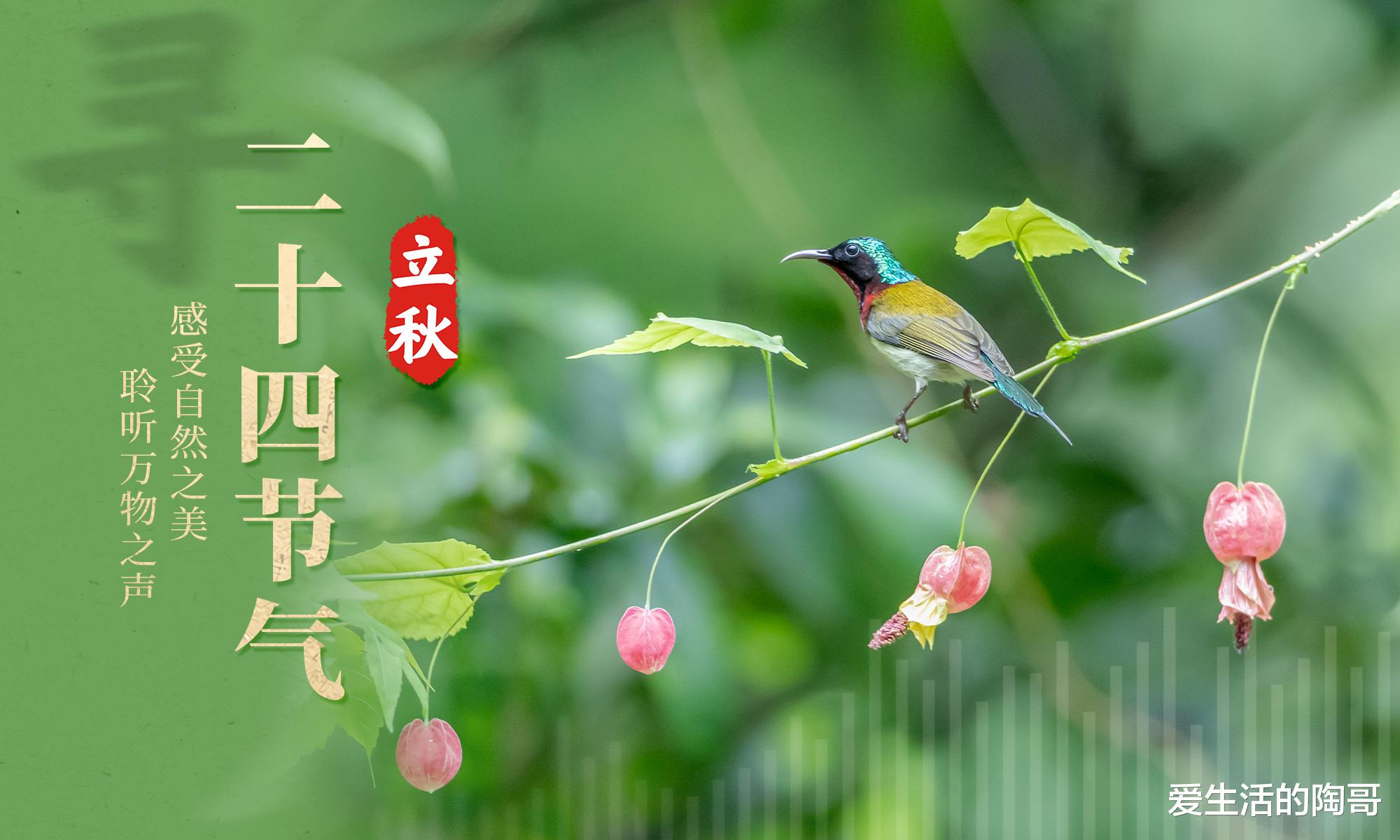 8月7日立秋,记得吃“立秋4宝”,顺应时节好度秋,老传统别忘!