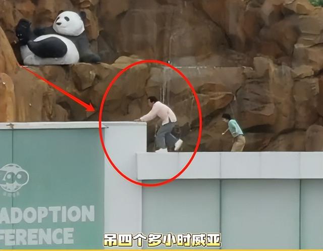 成龙私照获老外30万赞,满头白发断崖式衰老,与路演状态判若两人