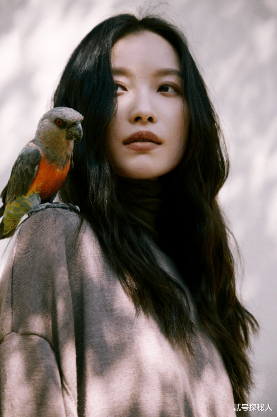 脸上抹灰就叫扮丑?论丑到连亲妈都认不出来的,还是要看这五位