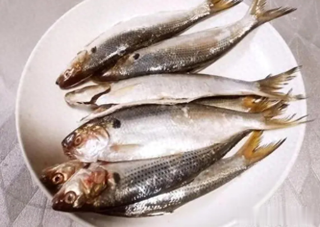 即将开海,这3种海鱼大量上市,野生味美,便宜解馋
