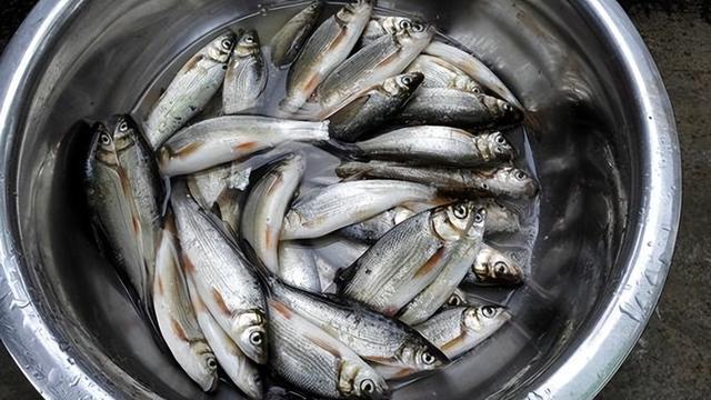 6种鱼尽量少吃，或含有甲醛和重金属