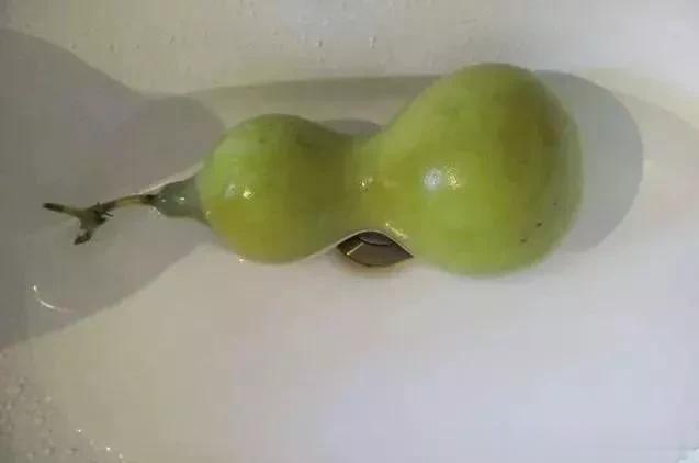 自家种的葫这样一搞，比别人的文玩葫芦更美