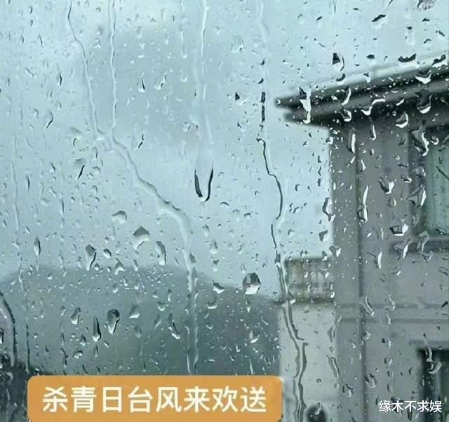 放大招!宋祖儿被曝高考舞弊,聊天记录曝光,本人多次被嘲没文化