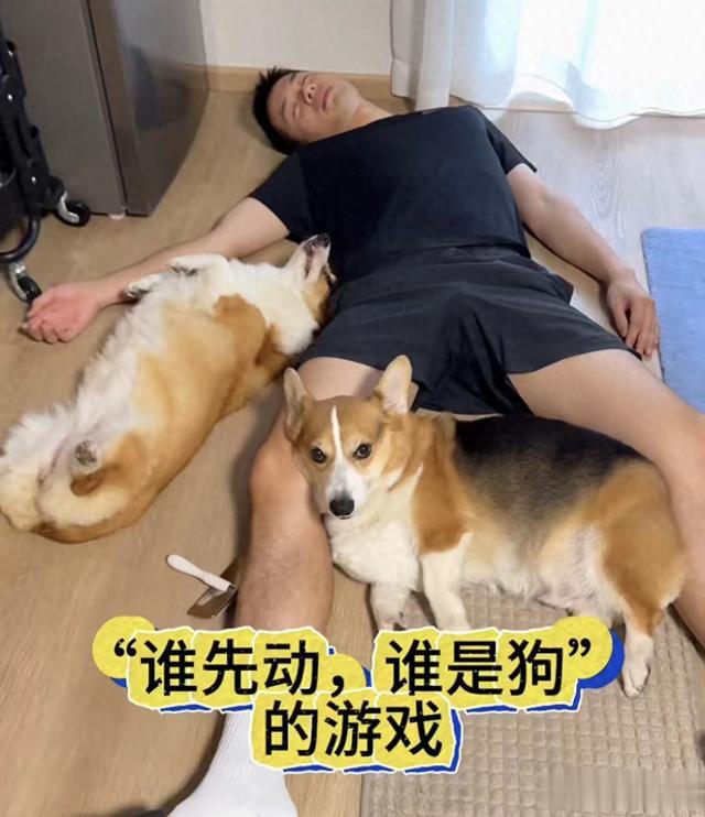 寒心！去宇辉化享受福利第一人，颜值和文采兼具，当选甄选新一哥