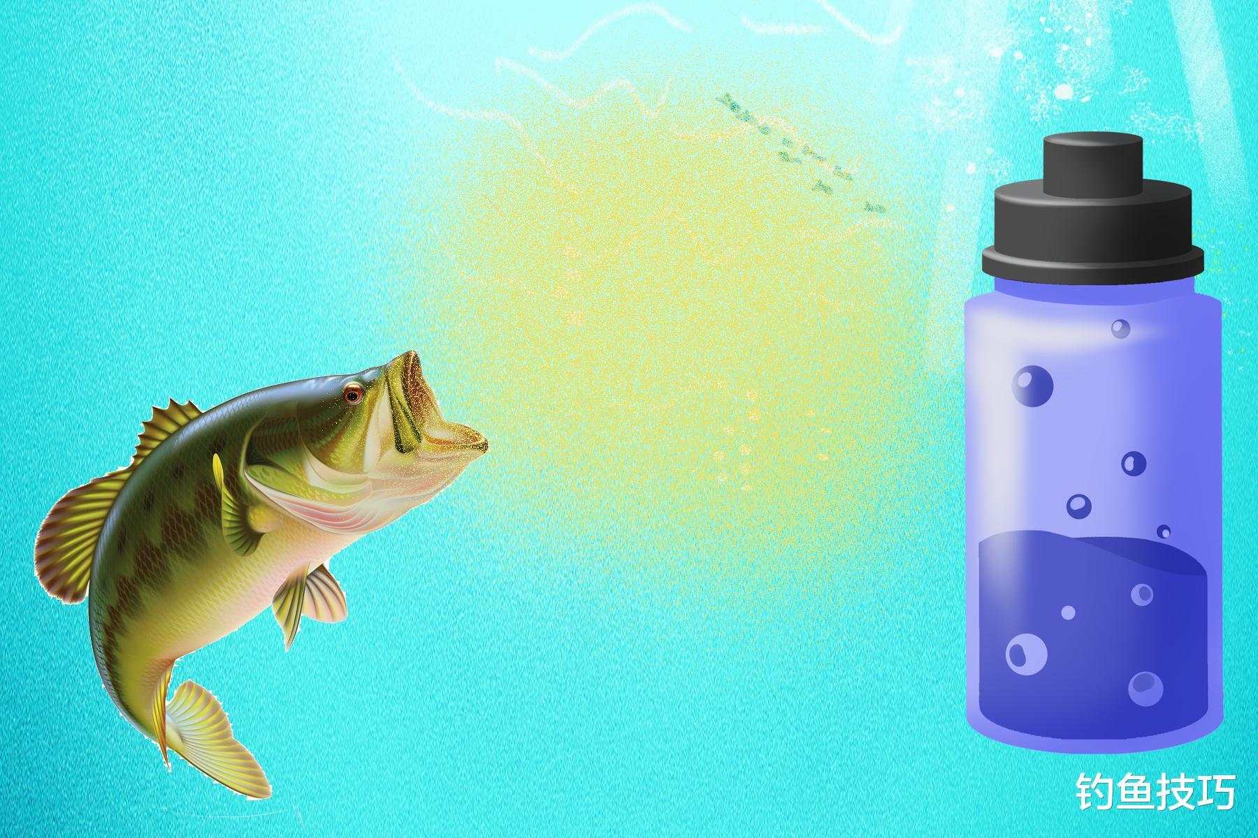 黑坑鲤鱼散炮的4个分类方法，快速提升钓技