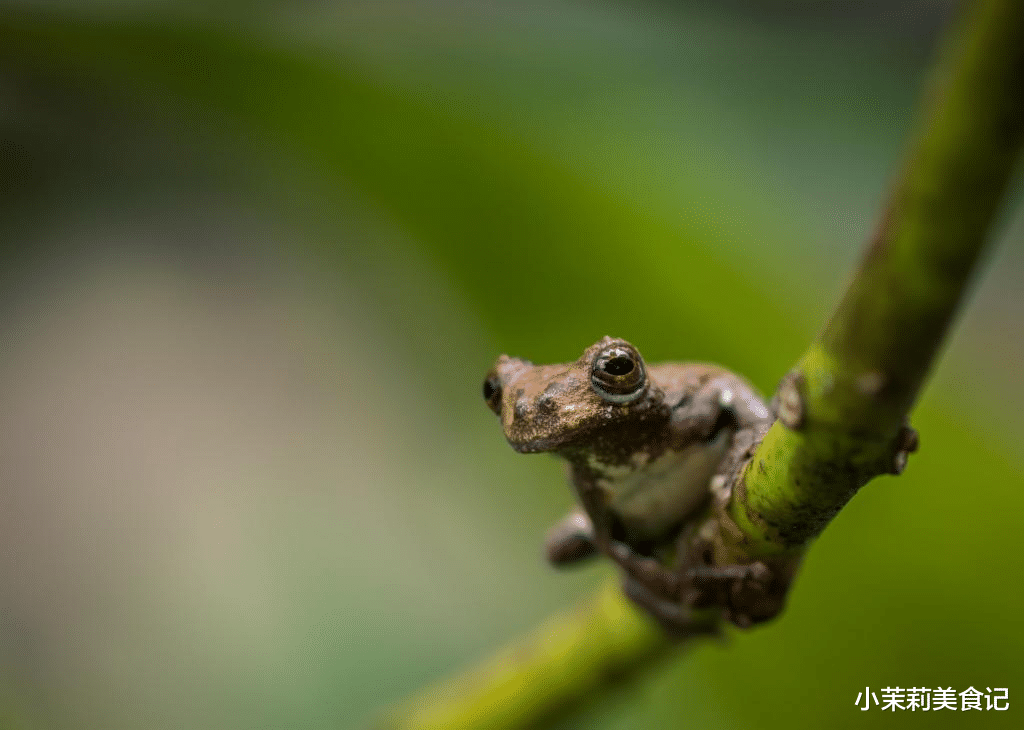 二月二龙抬头，二月初一更讲究，牢记：1不出，2要送，吃3样，忌1事，寓意人寿年丰，日子越过越红火，传统别丢