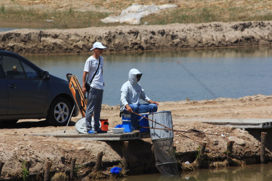 早春钓鱼,选这三个窗口期出钓,能尽情享受垂钓的乐趣!