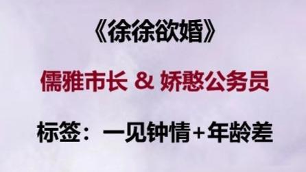 男主蓄谋已久婚爱文 |《徐徐欲婚》儒雅市长&娇憨公务员