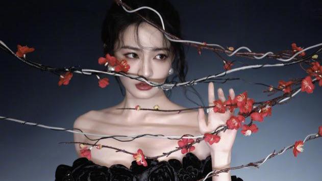 徐璐“梅花冬夜”写真曝光，网友大呼：人比梅花更惊艳！