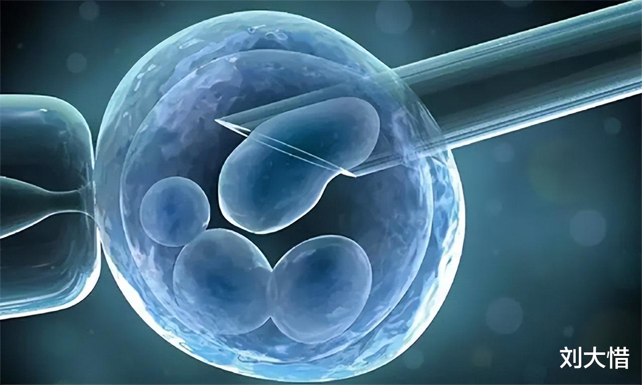 美国亲姐妹同一天产下2对双胞胎，医生鉴定后：孩子全都是妹夫的