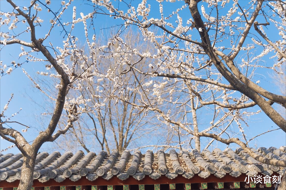 “九九日头照，老农坐着笑”，今日进“九九”，天晴有啥说法？