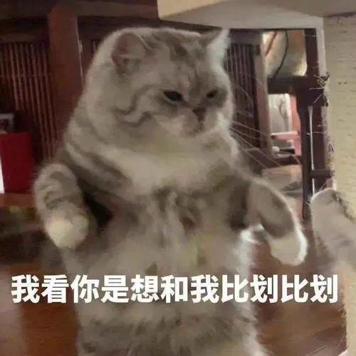 去年賣一萬元的頂配，今年只要3000多