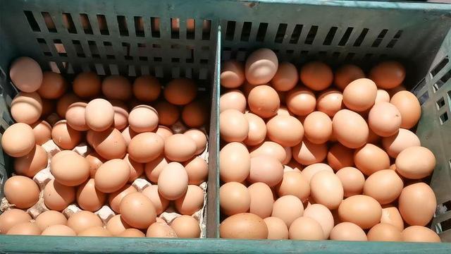 这样的鸡蛋可别买,白送也别要,家里有的赶紧扔掉,记得告诉家人