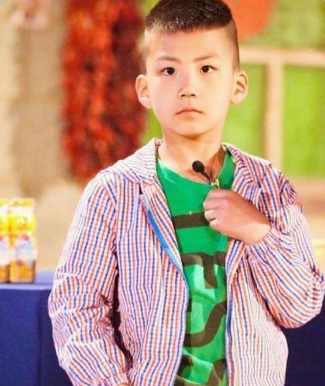 胡军儿子告诉我们，高级的富养是志存高远，太平庸的只能混娱乐圈