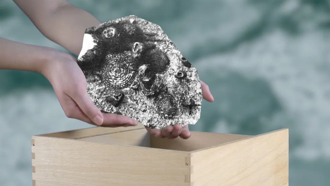 泰康美术馆新展“是一是二”,艺术的递归式追问