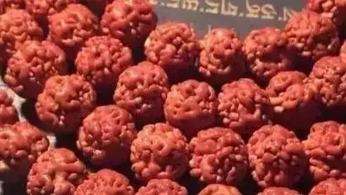 大金刚菩提和小金刚菩提的区别在哪里？