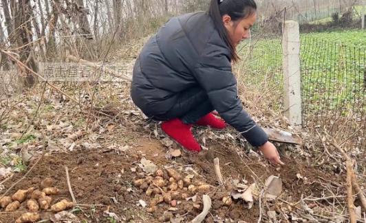 昔日80年代最火“下饭菜”,现被冷落难发现,有它多吃一碗饭!