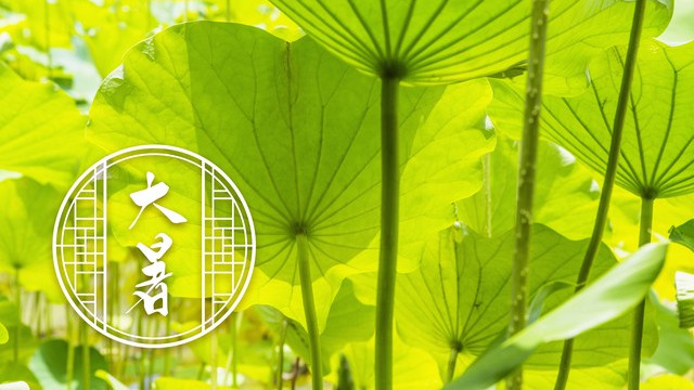 老话说“大暑吃一宝，四季无烦恼”，1宝究竟指什么？别不懂吃？