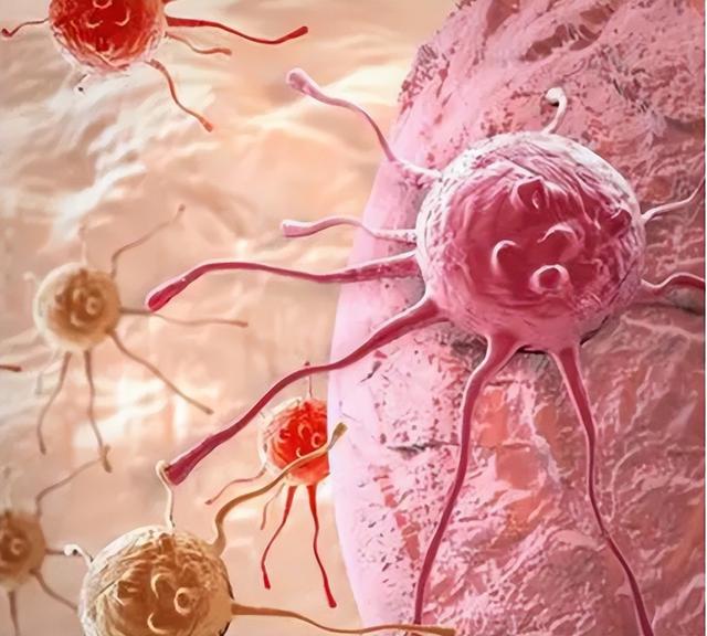 大便总有种拉不干净的感觉？身体在告诉你，这些地方可能出问题了