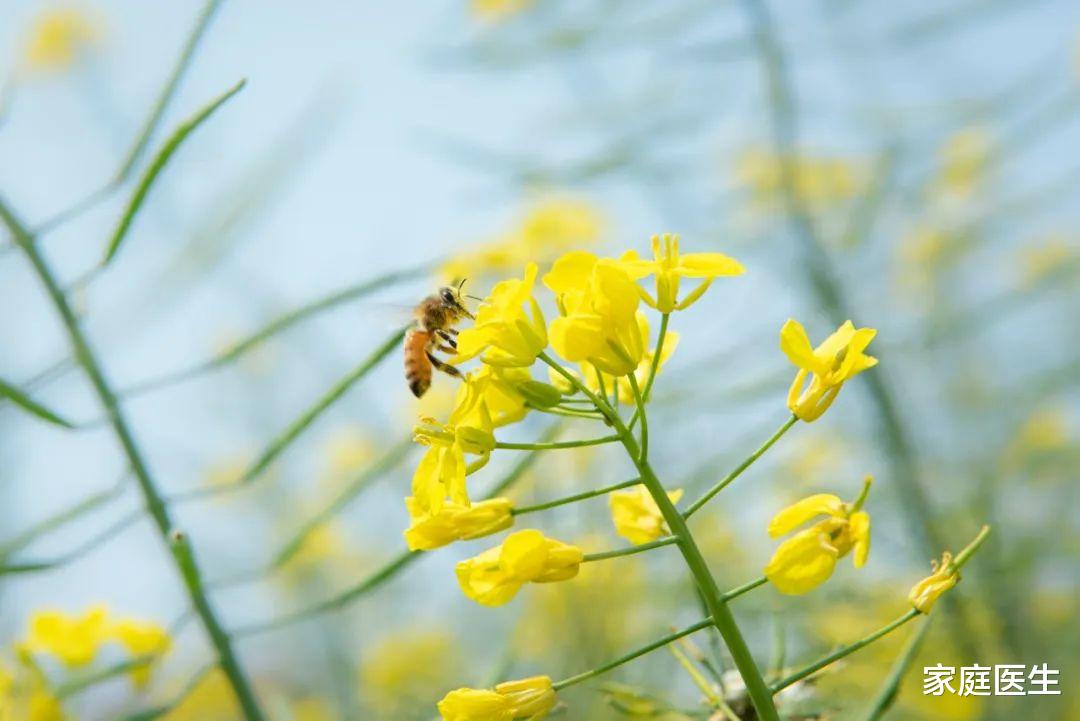 惊蛰养生，多吃2白、常做1“回春操”！脾胃养好、肝气通畅