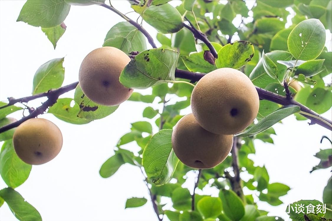 8月7日立秋，若条件允许，建议：吃3样，食2果，喝1汤，喜迎秋天