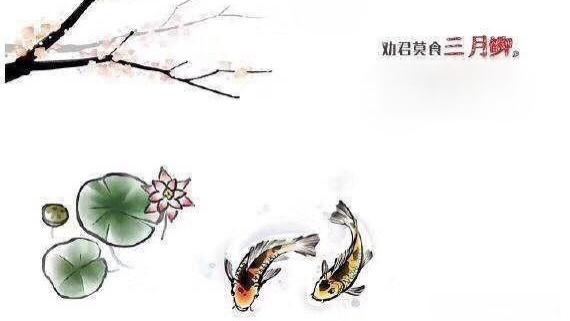 “劝君莫钓三月鲫”？要我说：莫要道德绑架钓鱼人！