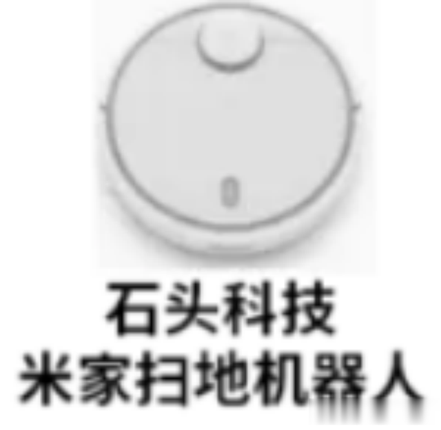 细分领域的出海:国产扫地机器人,凭什么称霸全球?