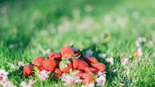 人在单位，若想安身立命，这三种大忌永远不要犯